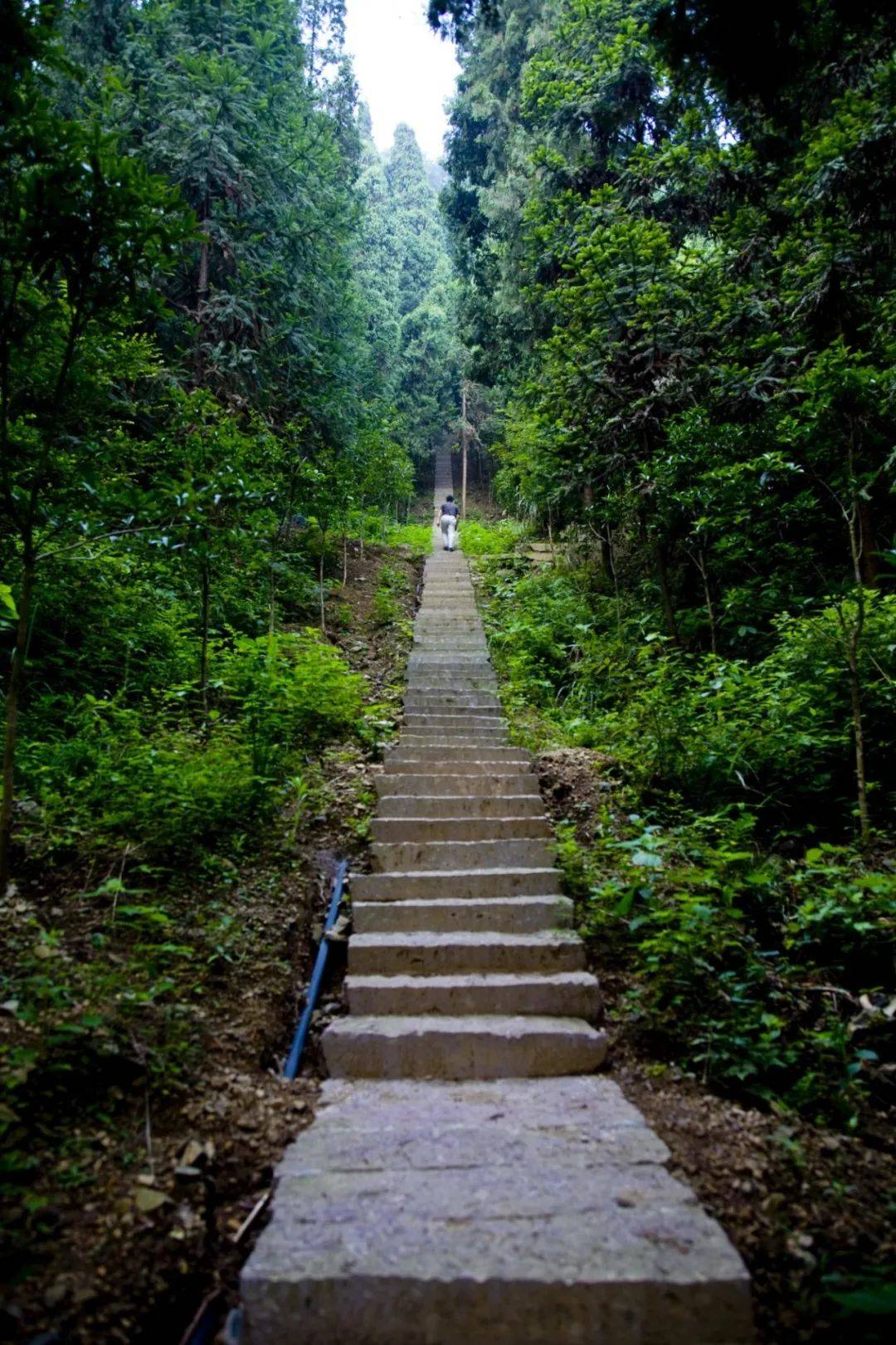 衢州市首批职工疗休养基地⑩开化县芹阳办事处桃溪村