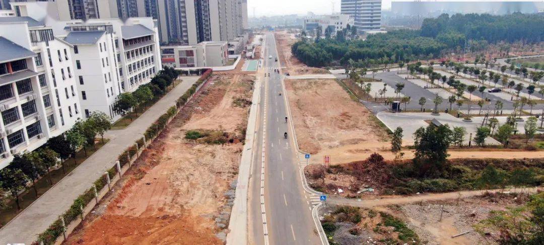 雷州城区道路项目建设火热进行中…多处道路预计春节前可通车!_大道
