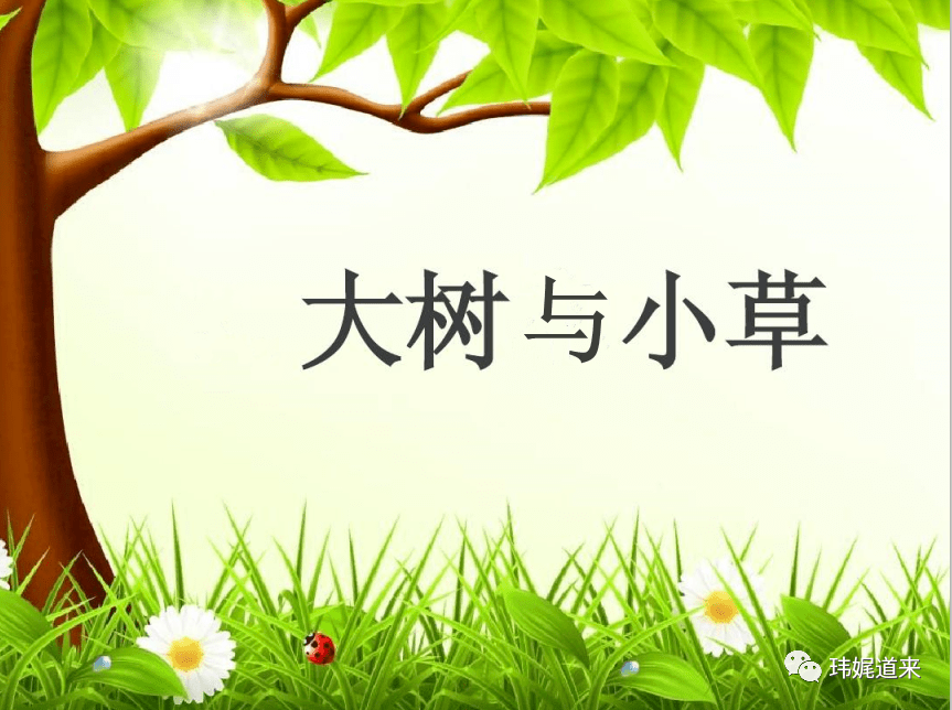 怎么画小草和大树 36c1705d56d240999c2204e846a80d5f.png