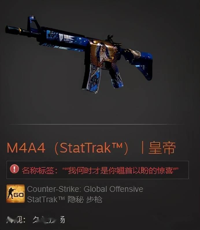 csgo皮肤控第63期csgo里那些内涵皮肤名