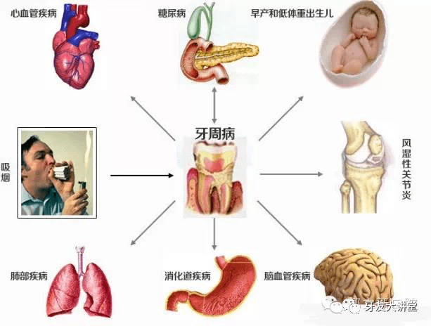 人口中有多少牙齿_外貌年龄计算器 显老OR装嫩一测便知(2)