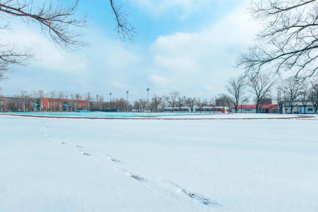 寄一片北体冬雪给您