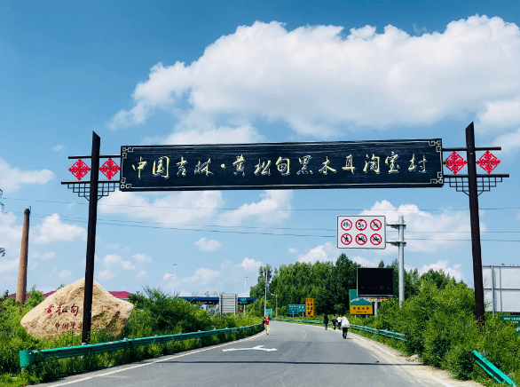 黄松甸人口_蛟河黄松甸灵芝图(2)