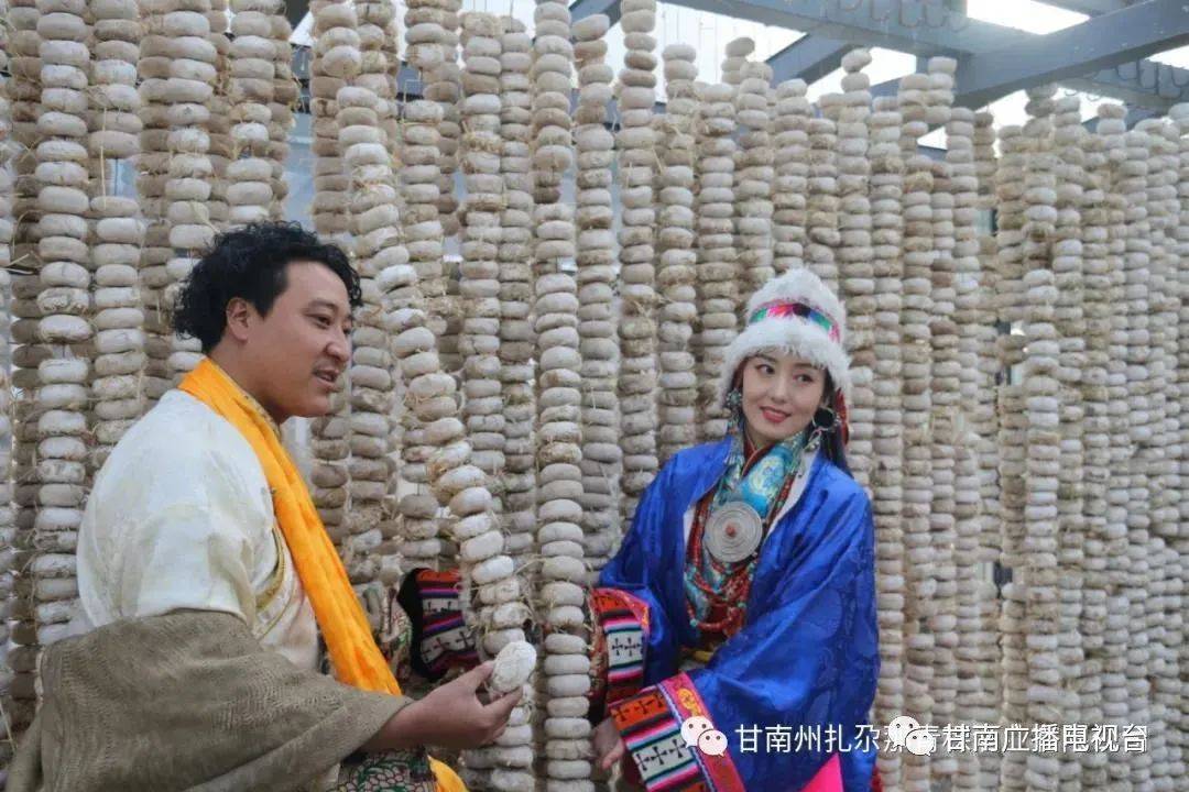 品味“五无甘南” 从一杯老青稞酒开始_客人