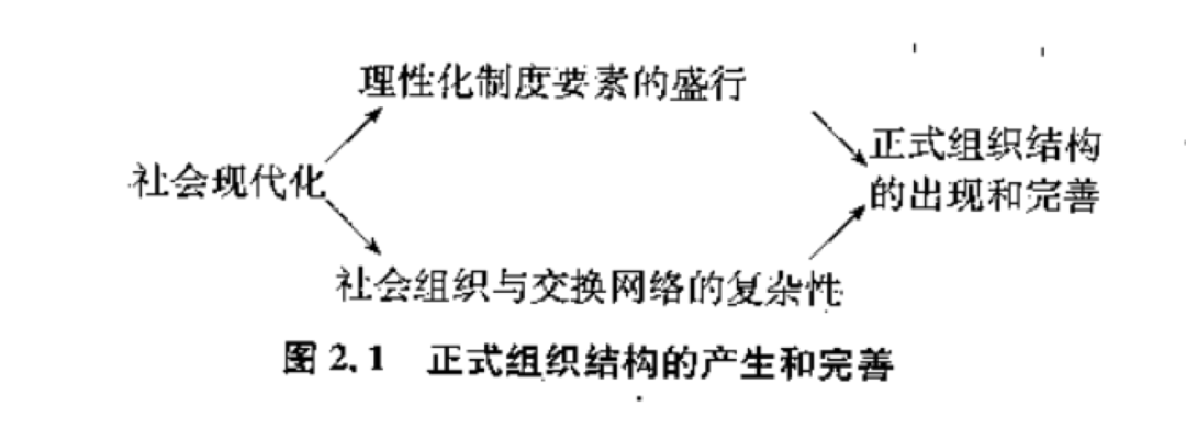 制度化组织 作为神话和仪式的正式结构 社会学