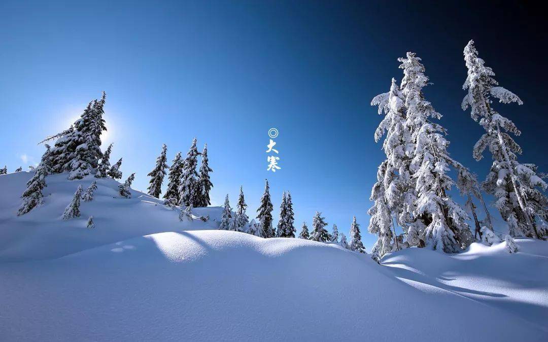 4cf4c71d57954aaea0e3aaed71c8feb7.jpeg