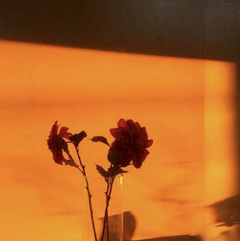 什么叫做真正的浪漫 5745b688ca3f4a1b9e716f860487c0ab.png