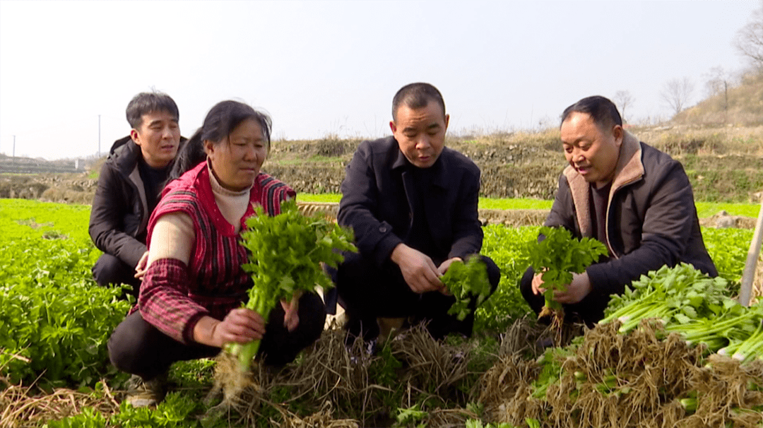 人大代表风采 || 人大代表黄忠平:履职尽责 切实为民办实事