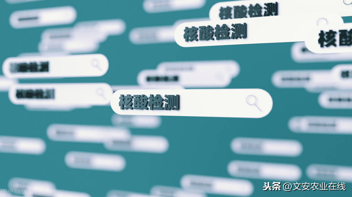 核酸检测造假GDP_核酸检测图片