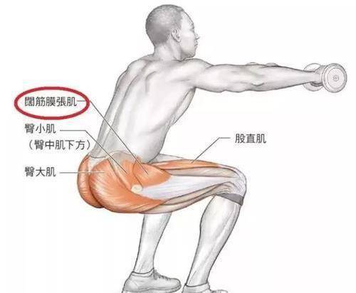 做好这3个动作轻松练出强大的大腿肌肉简单拥有完美腿型