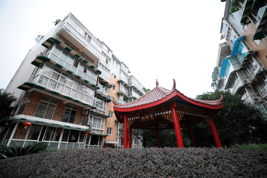 当公园城市渐渐绽放