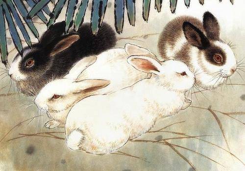 兔子和鹰酱活成了 3333ffda267143c3835bd252dc0b43e1.jpeg