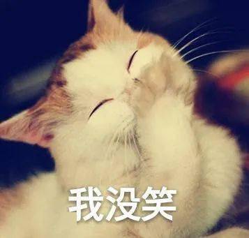 41fd023aa7e74a1893336081f6a74729.jpeg