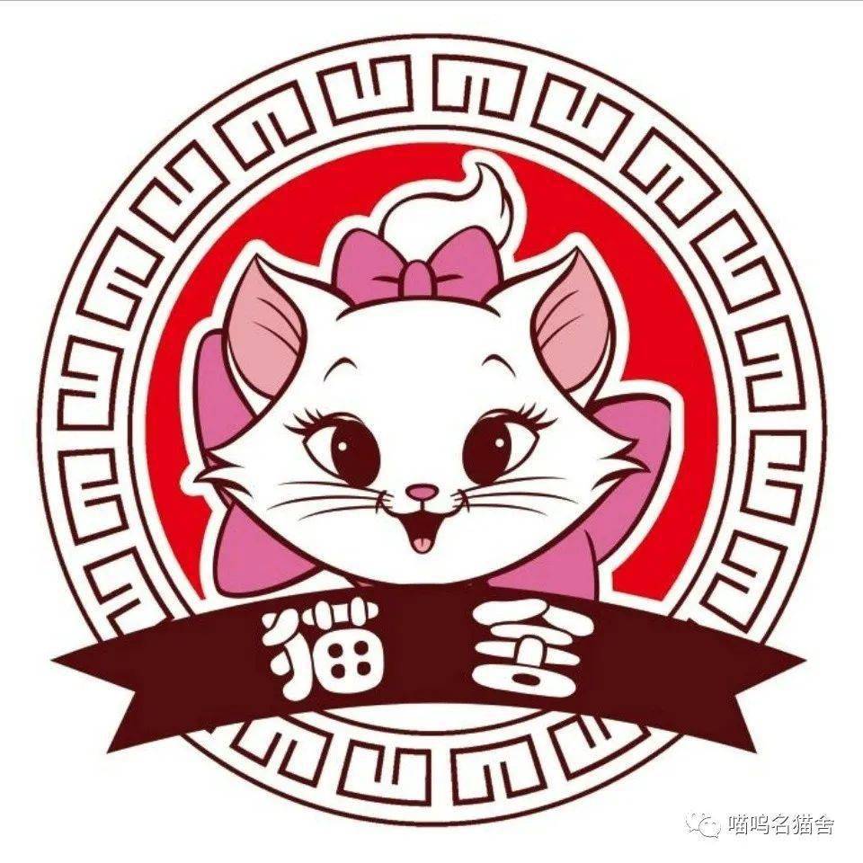 猫舍那些事,为什么品种猫还是那么贵呢?_手机搜狐网