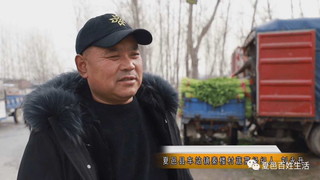 抓好蔬菜基地生产 保障"菜篮子"供应_夏邑县