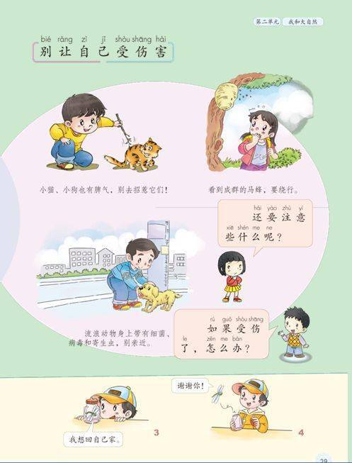 一年级人口手_一年级人口普查手抄报(2)