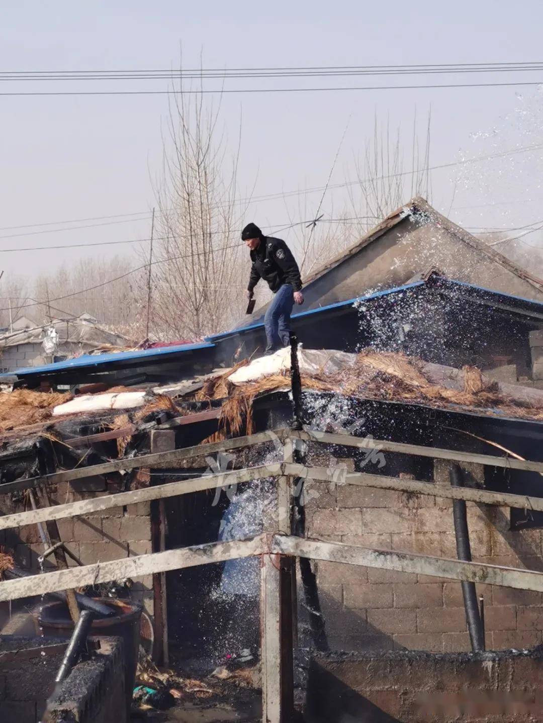 杨桥村一家养猪场失火,在村民与消防队员共同努力下,最终把大火扑灭