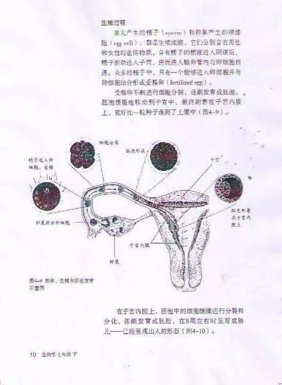 初二生物课本很污的图图片