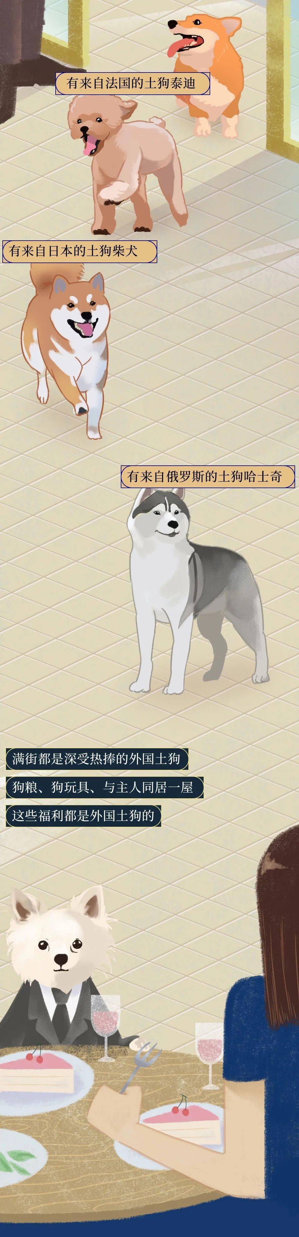 你憑什麼看不起中國土狗？ 萌趣萌寵 第8张