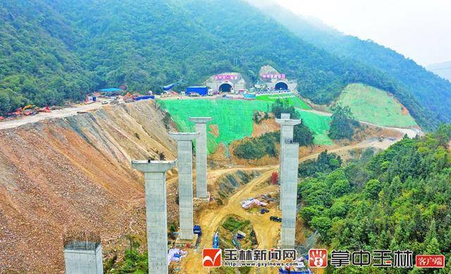 博白三滩镇GDP_博白黑皮甘蔗开砍上市(2)