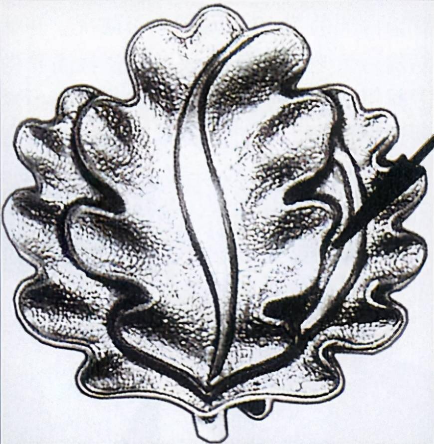 纳粹德国骑士十字勋章之橡叶饰