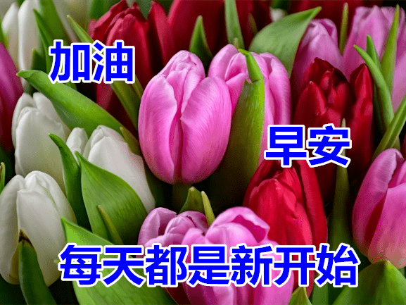 970ebafb0a9443f5ad2652ac221476a8.png