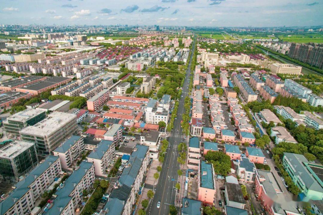 引入优质教育资源,新建健身步道,加装电梯……2021年洞泾镇实事项目出