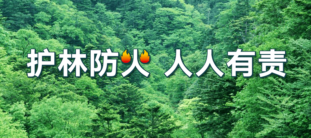 重要近期森林防火提示
