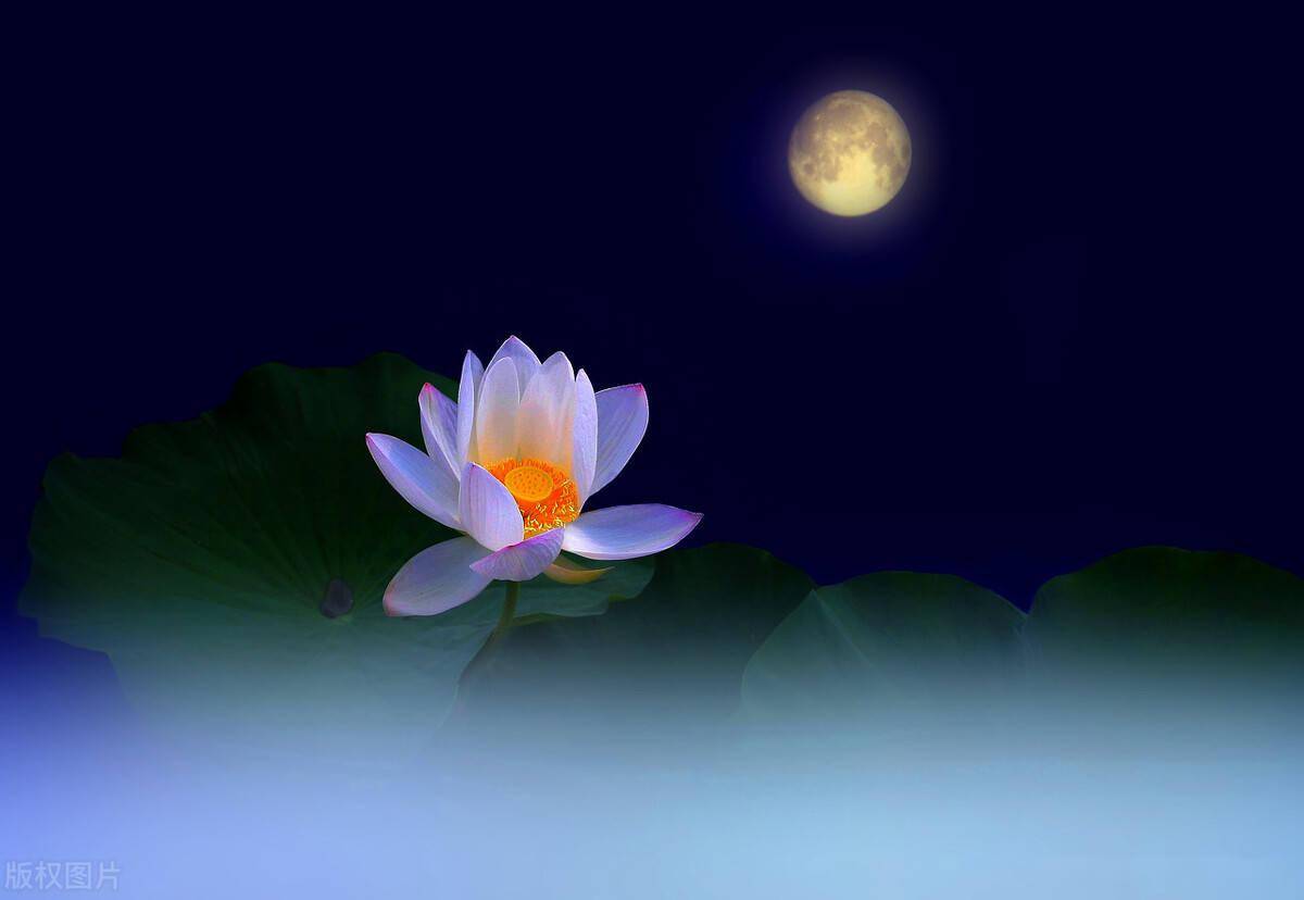 上联:一轮月两岸风三更饮四五翁六七个回合八九坛空十分醉意;请