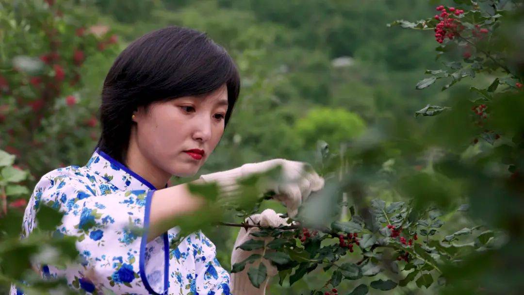 大型纪录片决战西和第一集来啦看闻名全国的西和模式如何诞生