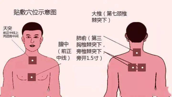 肺气不足的人不妨试试四种补肺气方法肺气足了身体少生病