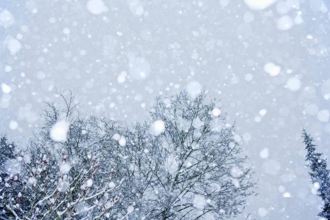 描写冬天的雪的诗句_描写黄山冬天的诗句_描写冬天的诗句有