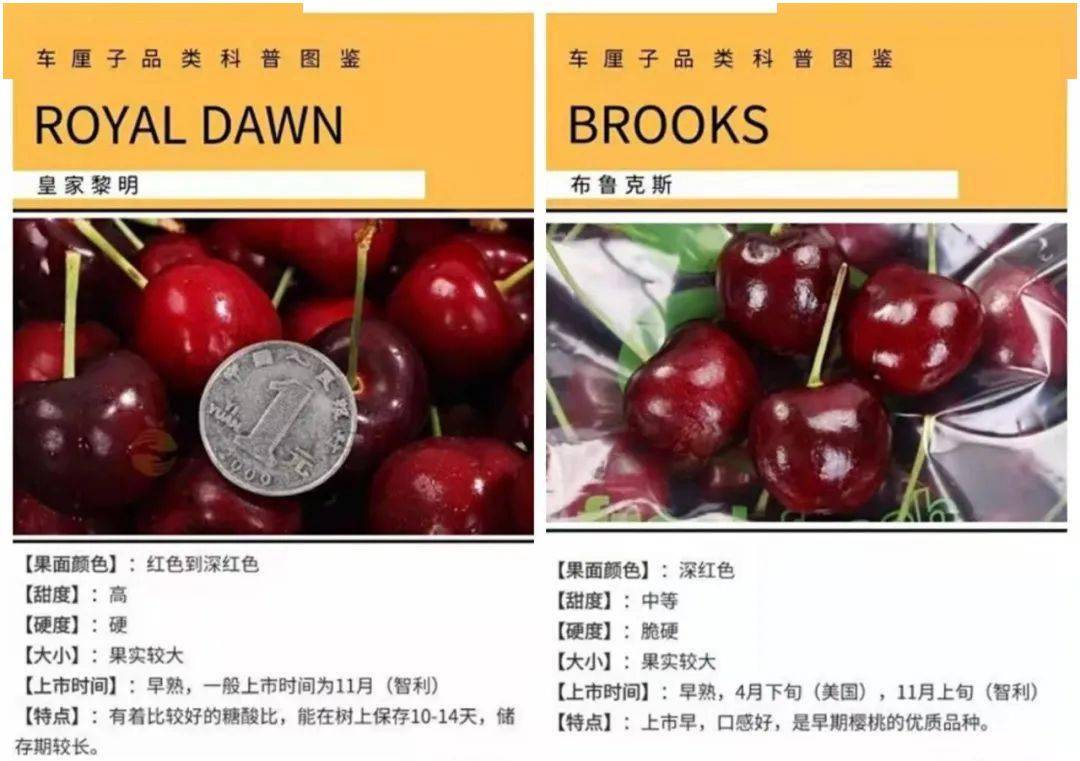 而且全部特价哦世界上所有的车厘子都能在这里找到除此之外一口一个超