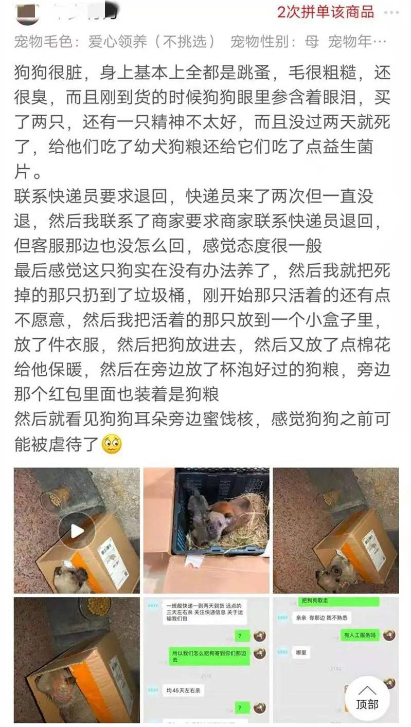 网购活体宠物盲盒引纠纷不能退也不能给差评一周内死亡只退一半钱