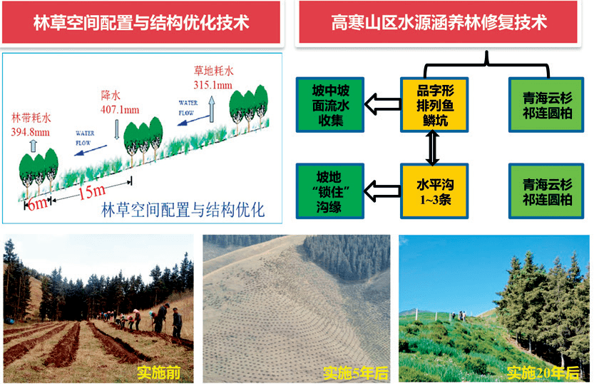 院所成果 | 西北內陸區極端環境生態系統修復理論,技術及其應用團隊