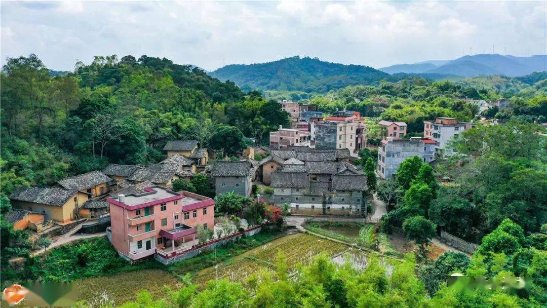 浦北县《美丽乡村·蜕变》第五集——龙门根竹塘"幸福村"