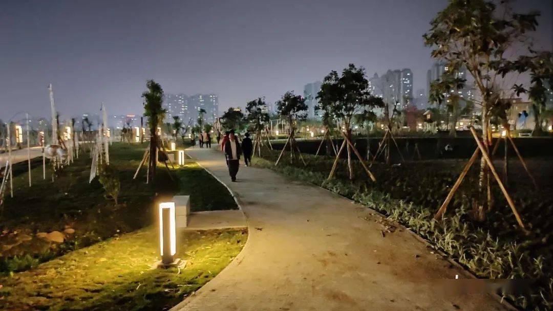 站南公园开始亮灯了,前来散步的人越来越多!_茂名
