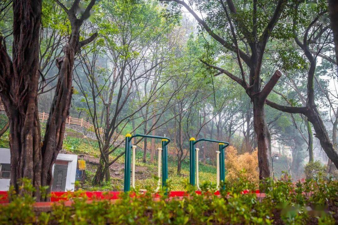 长寿凤山公园新妆归来!周末赶紧去打卡!