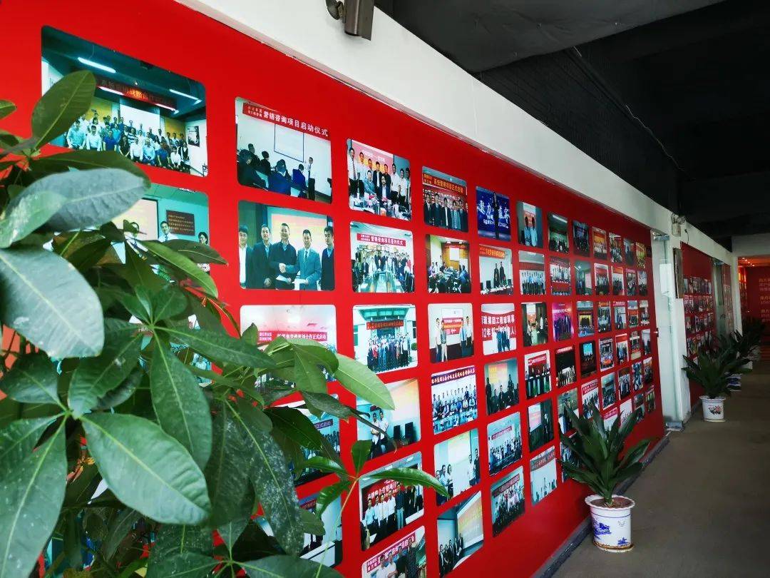 品牌策划公司排行榜_2021年中国十大营销策划公司总排行榜