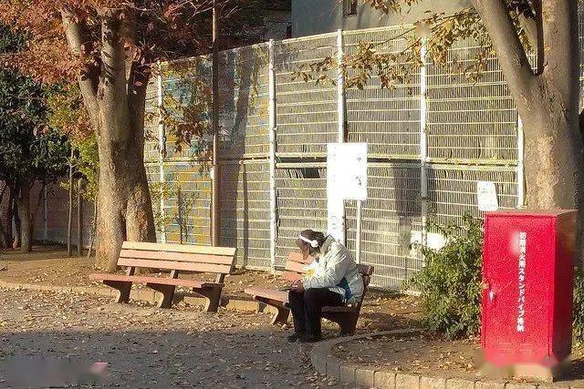 带宠物露宿街头,交不起房租电话费,女流浪汉增多:疫情之下日本贫民