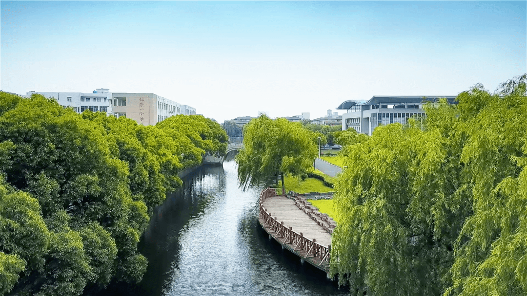 逍林镇荣获浙江省文明镇称号