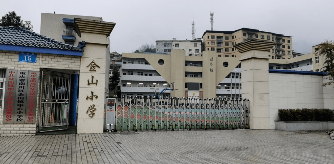 重庆金山小学标志图片