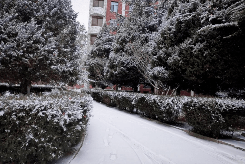 同学们看过来你们的学校下雪了