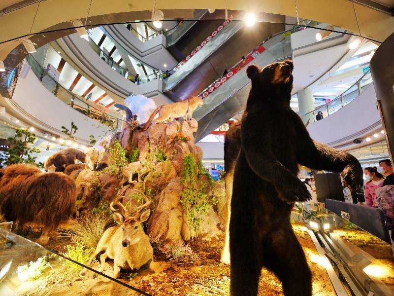 在商场逛动物园是一种什么体验