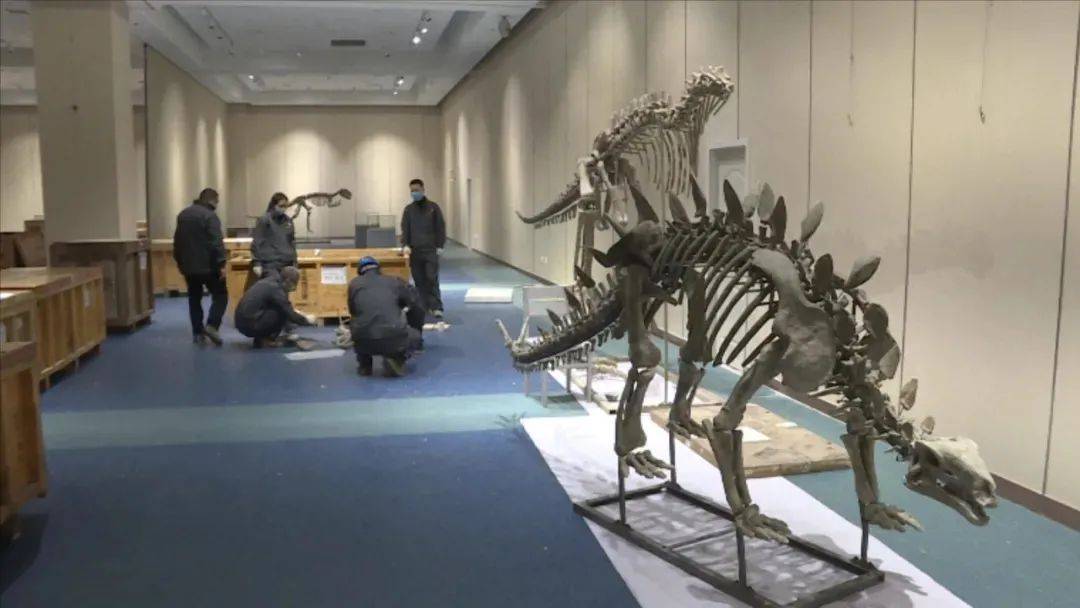 恐龙馆体验馆云阳 cc376b0d7a4140bd82fce02db1fe22be.jpeg