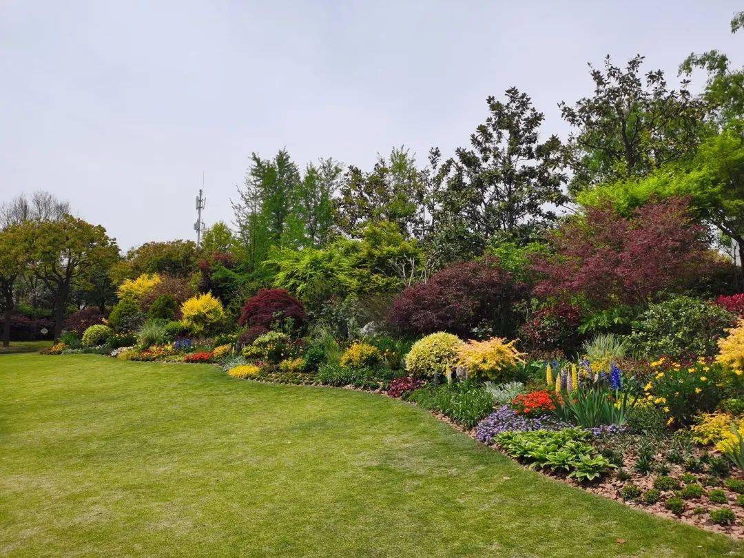 充分体现保健休闲功能,运用生态园林观点以藤本植物造景为主,以色叶