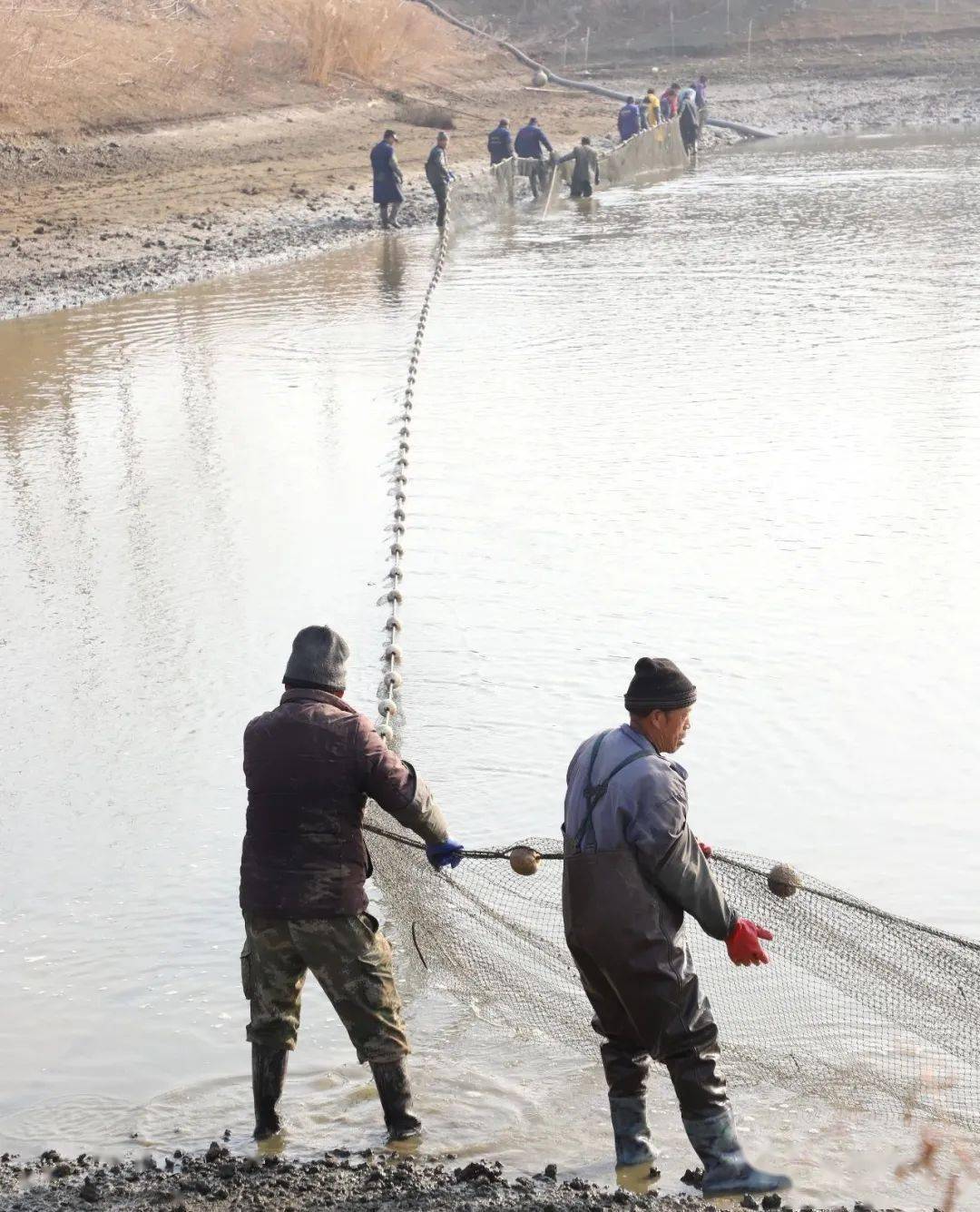 漁民們正在緊張有序地撒網撈魚.