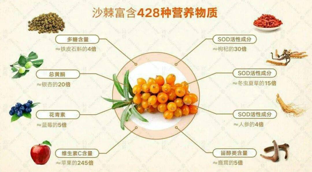 再生障碍性贫血营养调理选择428种活性成份利于身体健康_沙棘