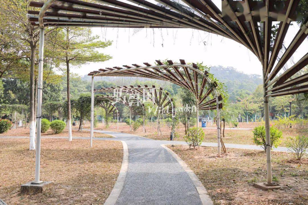 小木屋超可爱东莞植物园内这个儿童公园开放啦