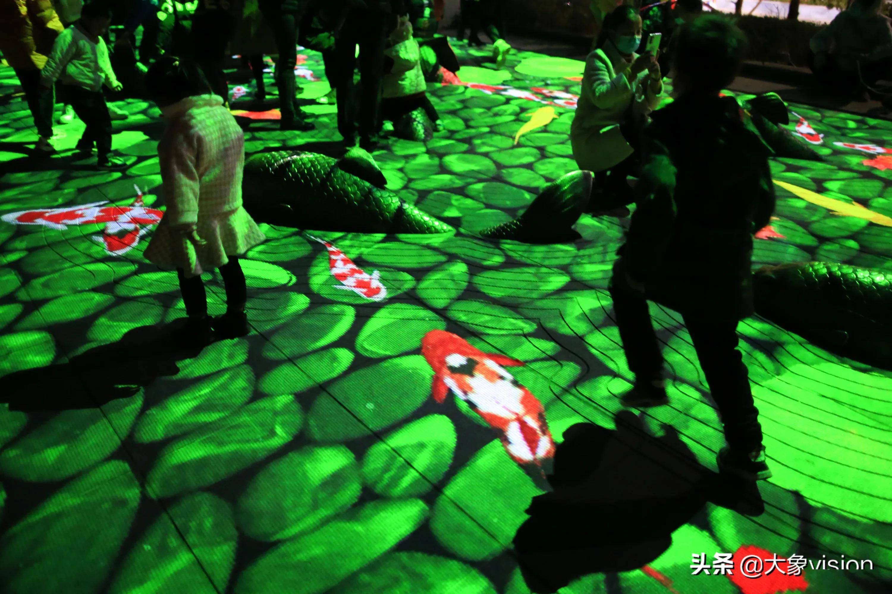 大锦鲤脚底游 来海埂大坝捉鱼啦_投影